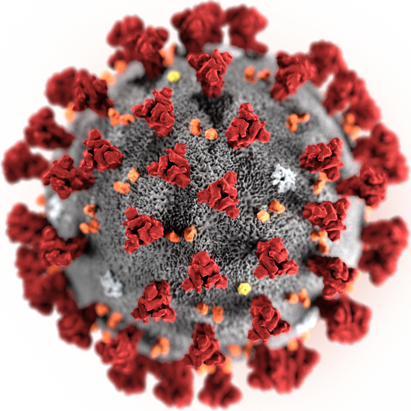 Меры предупреждения распространения коронавирусной инфекции